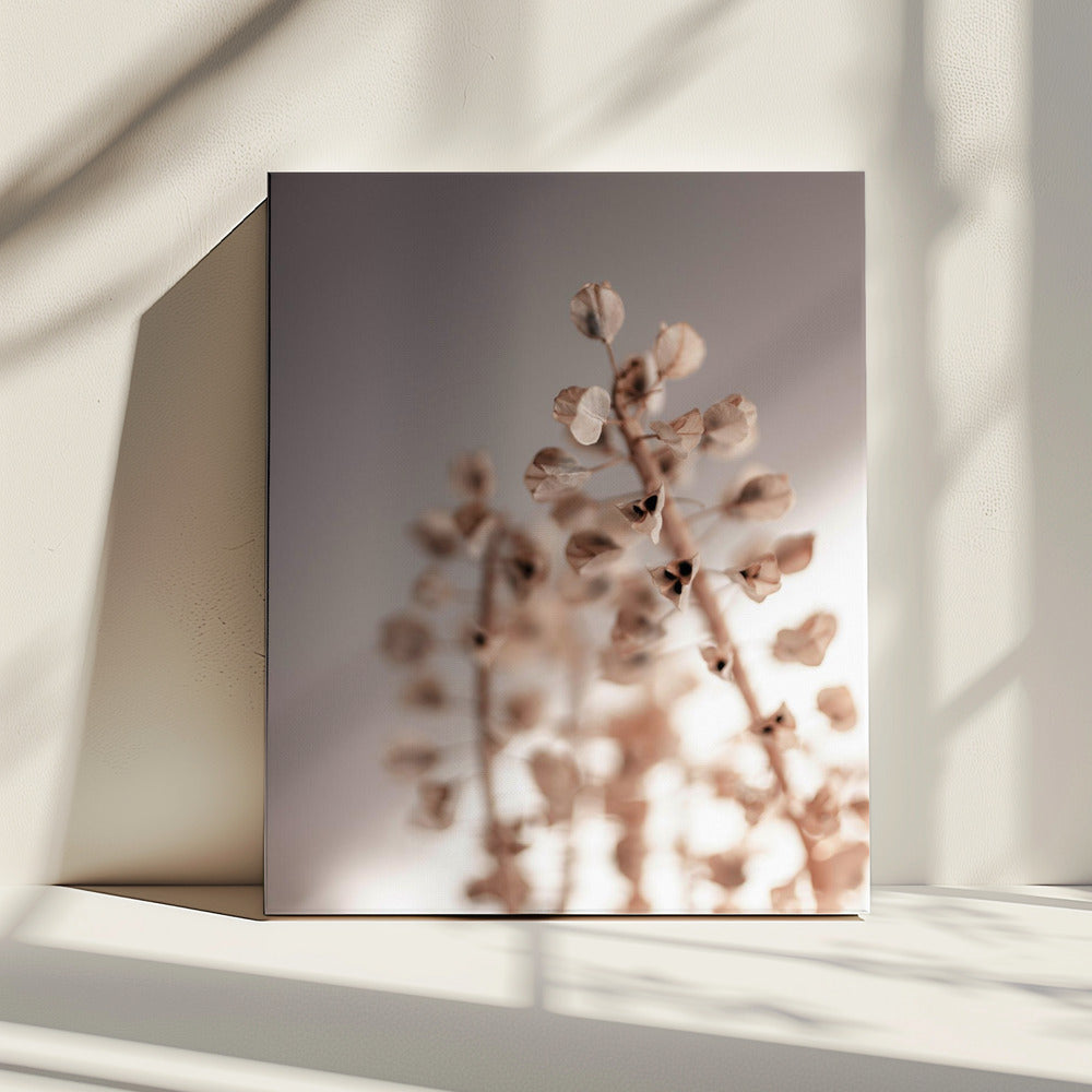 Afgelopen zomer 32 | Canvas