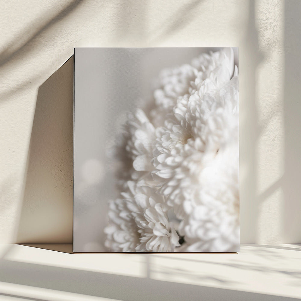 Witte bloemen | Canvas