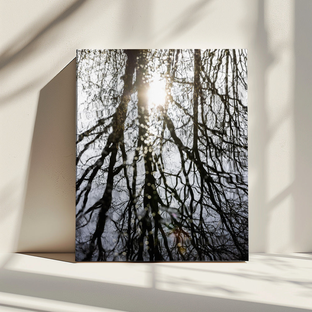 Winterreflecties 4 | Canvas