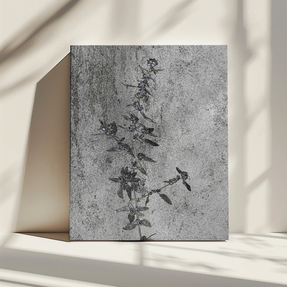 Betonnen bloesems | Canvas