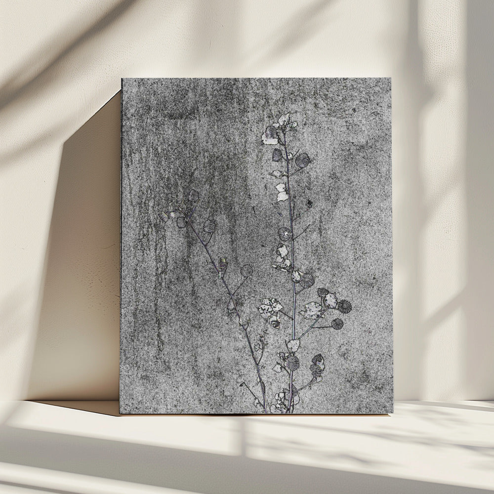 Delicaat verval | Canvas