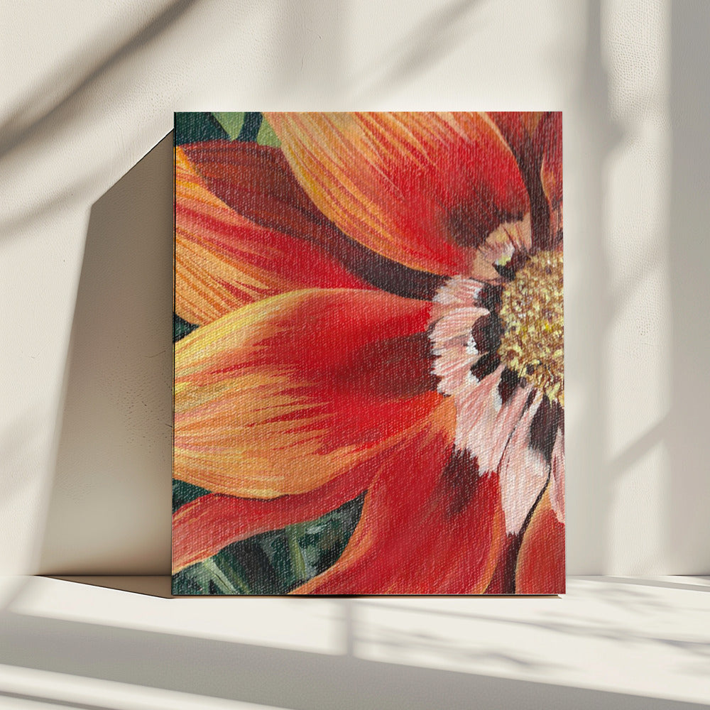 Gazania 1 Door Viccy Wanliss | Canvas