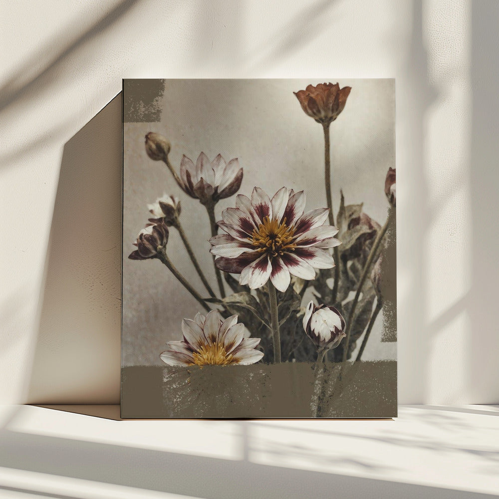 5 Vintage Bloemen | Canvas