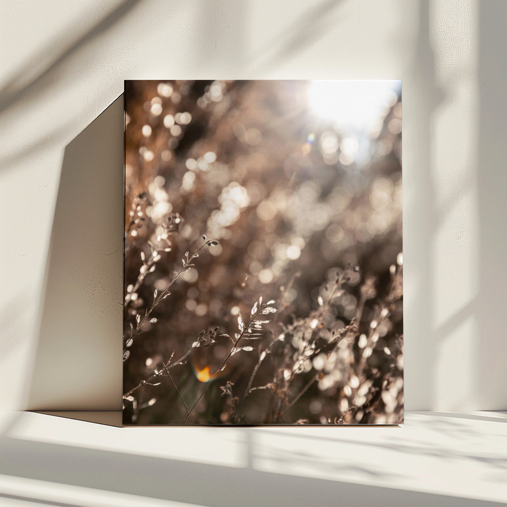 Warm Winterlicht 6 | Canvas