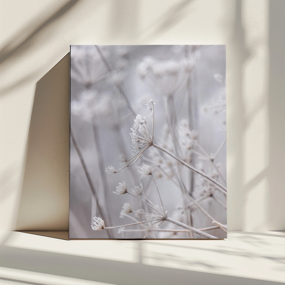 Frozen 6 | Canvas