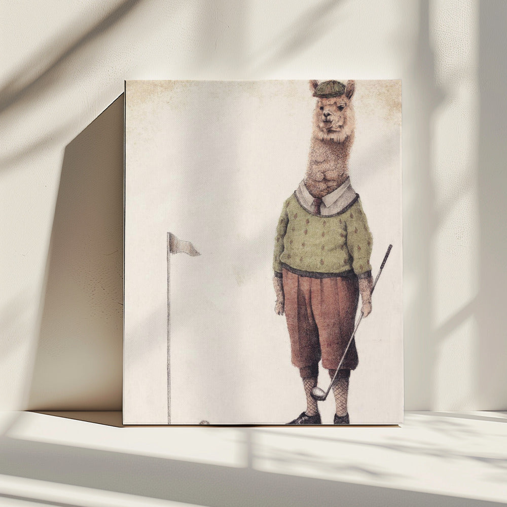Alpaca Golfclub | Canvas