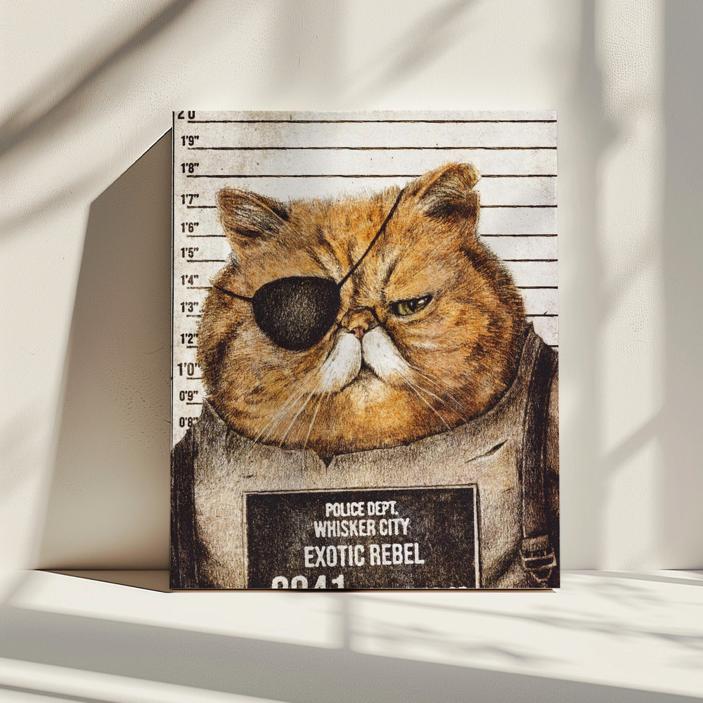 Grappige kat | Canvas