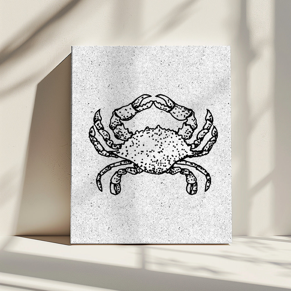Zwart-witte krab | Canvas