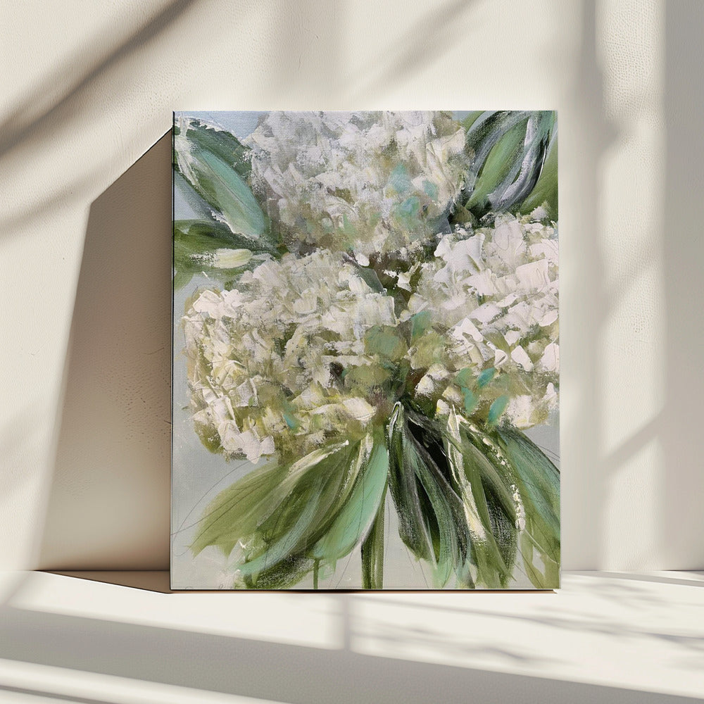 Witte hortensia's met weelderige groene bladeren | Canvas