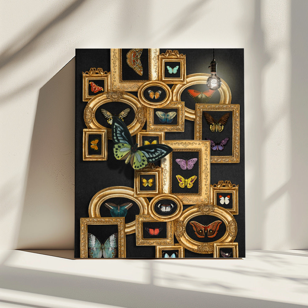 Een verzameling vlinders | Canvas