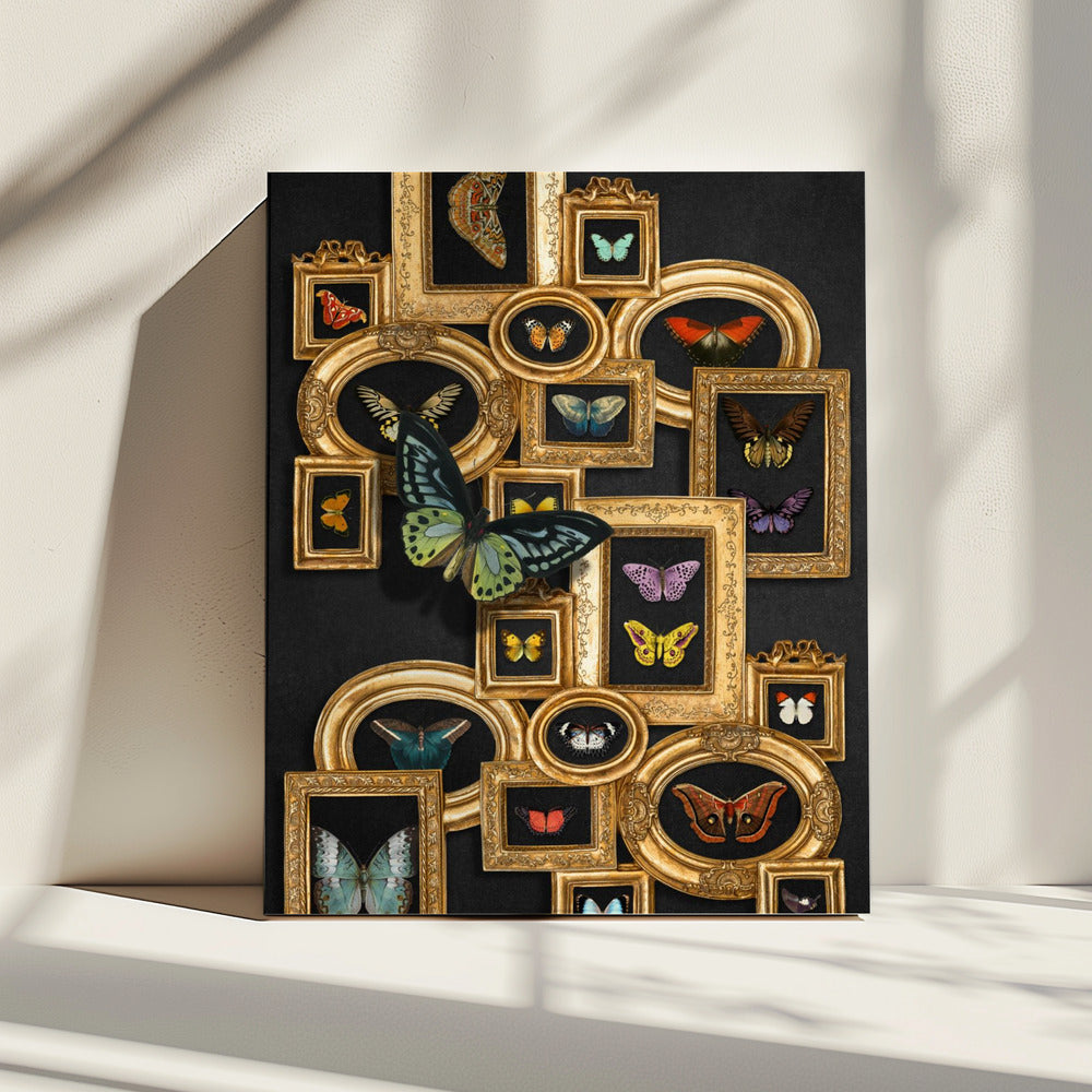 Een verzameling vlinders | Canvas