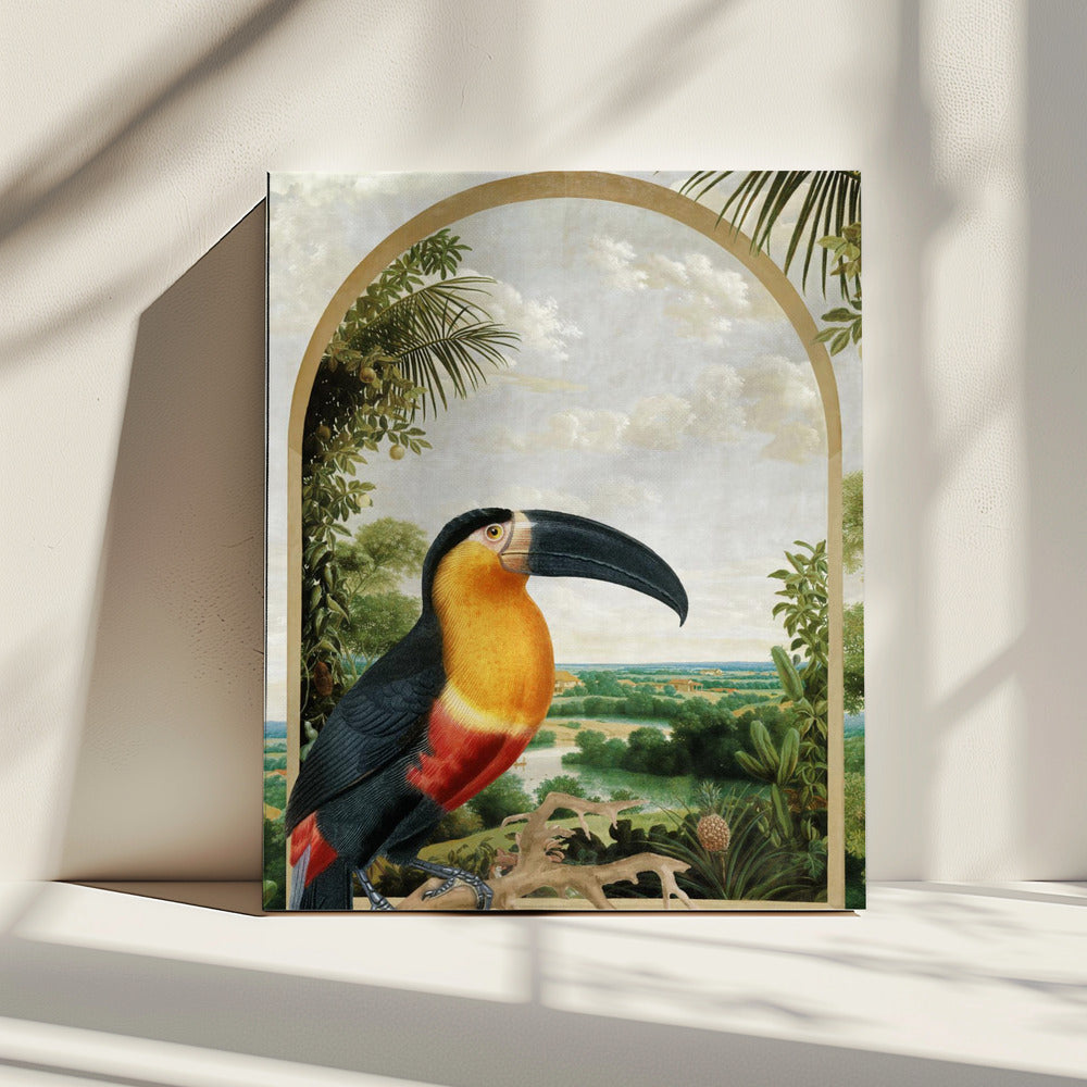 Toekan op een tak | Canvas
