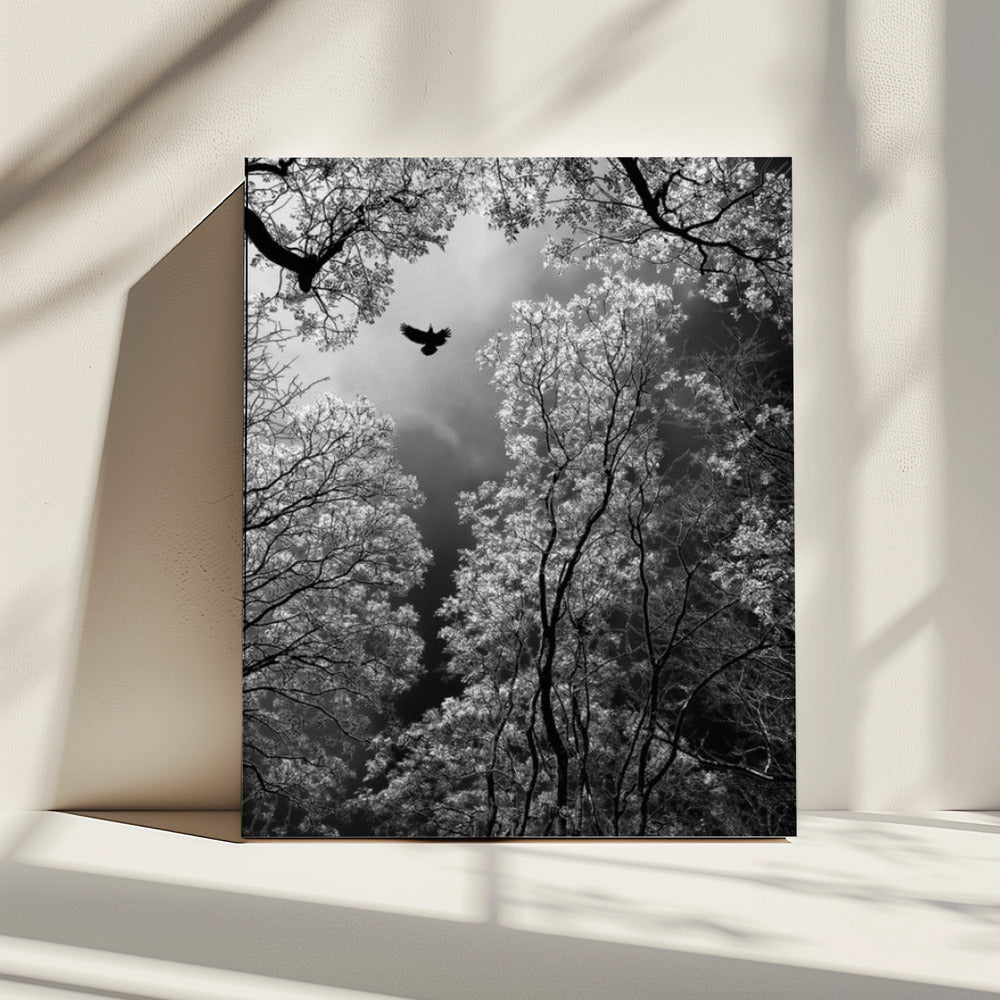 Vlucht | Canvas