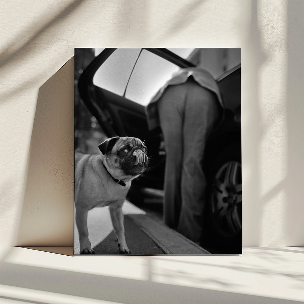 Zonder titel | Canvas