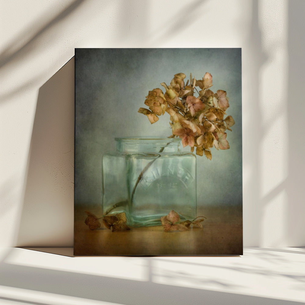 Hortensia | Canvas