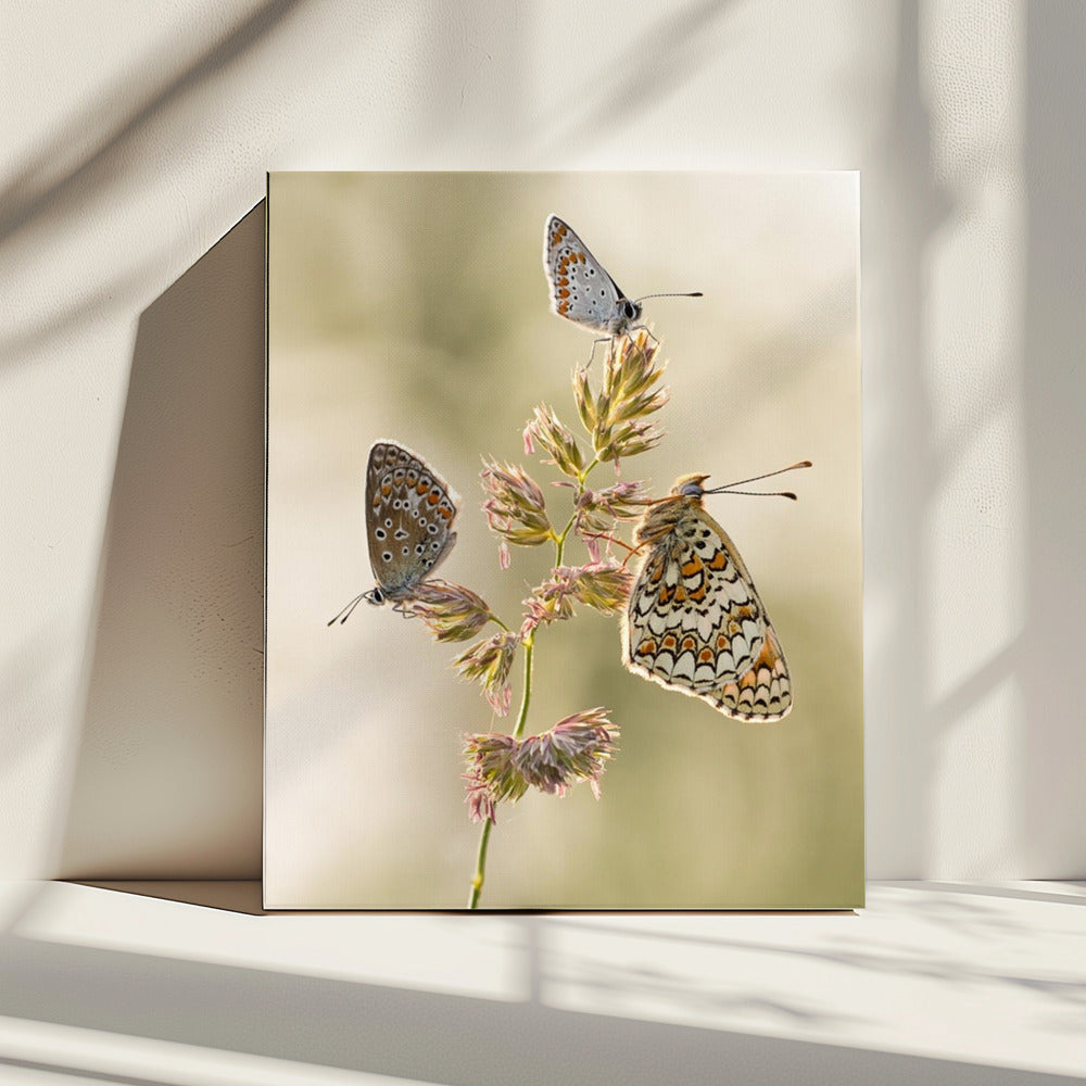 Een soort smeltkroes | Canvas
