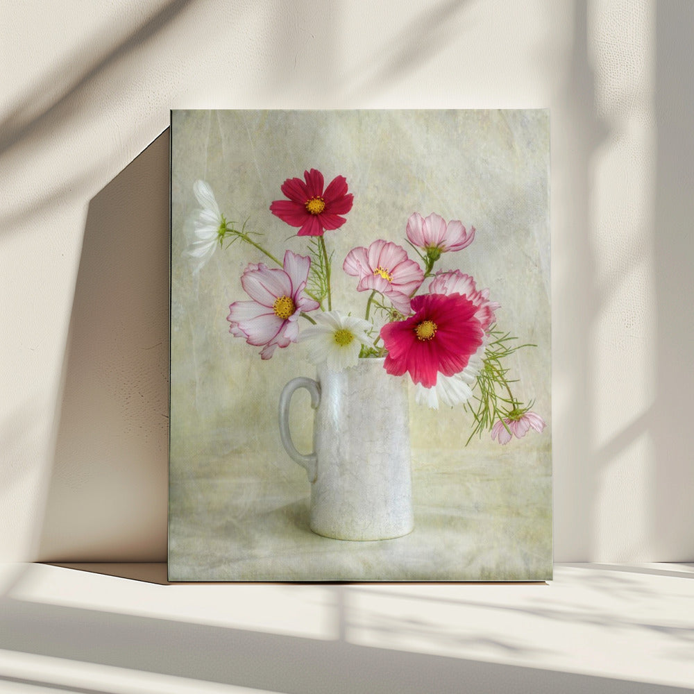 Cosmos carnaval | Canvas