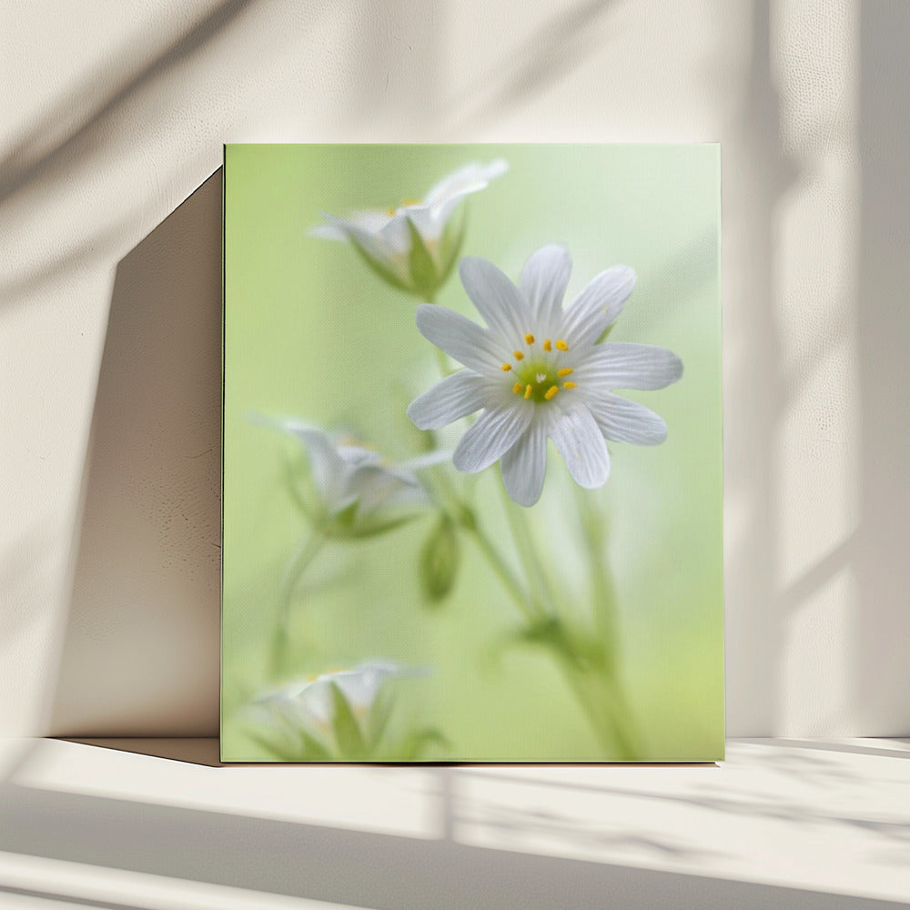 Lente schittering | Canvas