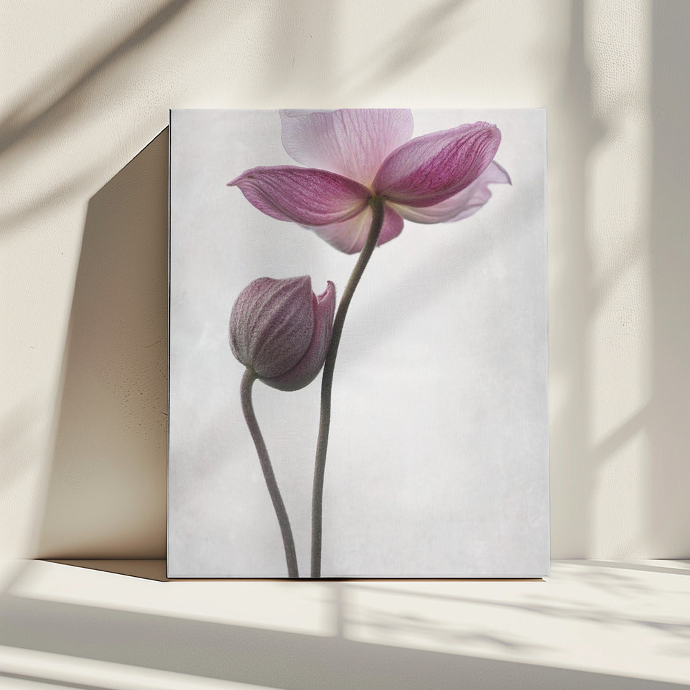 Een Kleine Aanraking | Canvas