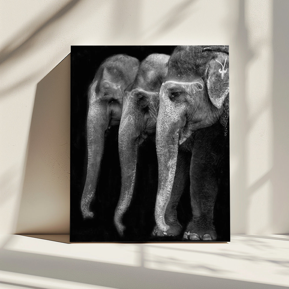 Het grootste meesterwerk van de natuur, een olifant; het enige onschadelijke grote ding ... | Canvas