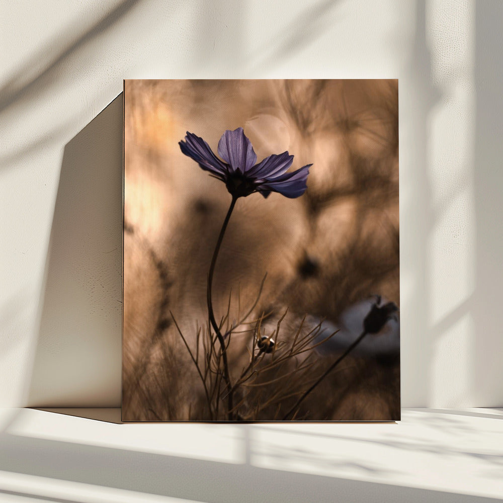 De Dansende Koningin | Canvas