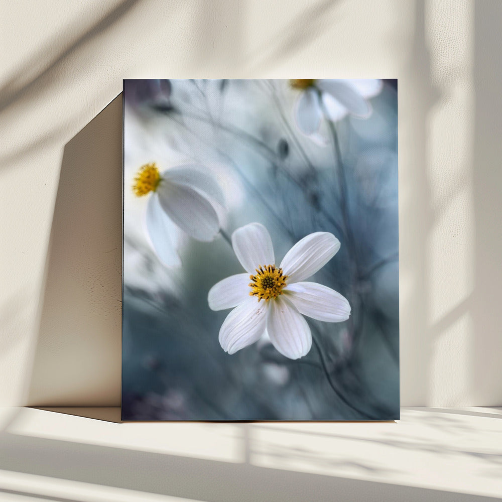 Kosmos | Canvas