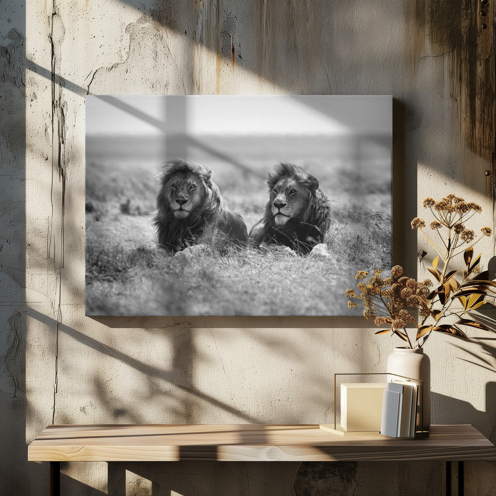Twee koningen | Canvas