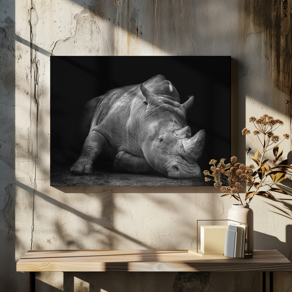 Verslagen | Canvas