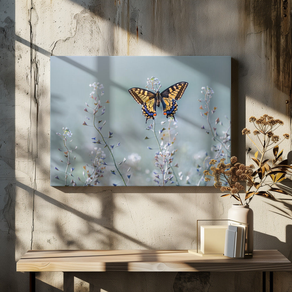 Zwaluwstaartschoonheid | Canvas
