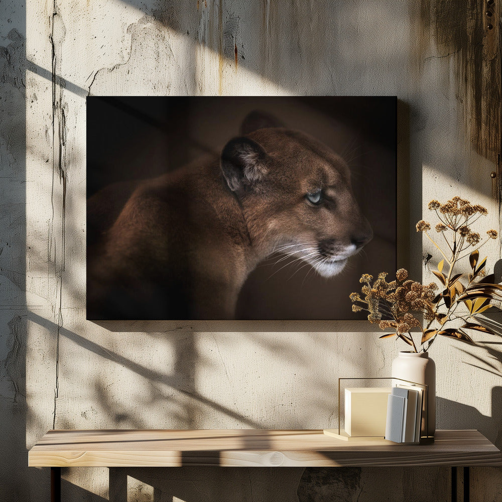 Puma | Canvas