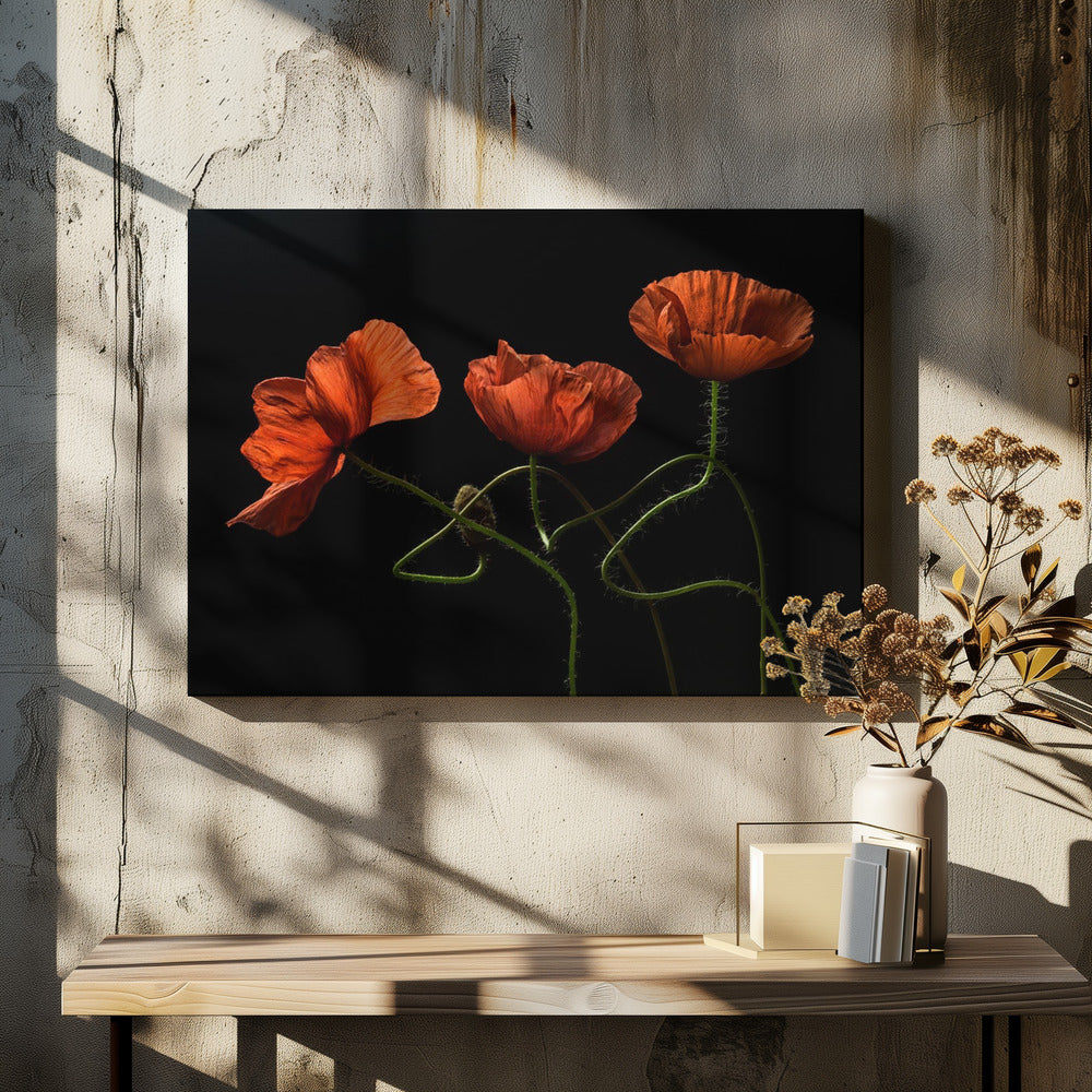 Rond middernacht #2 | Canvas
