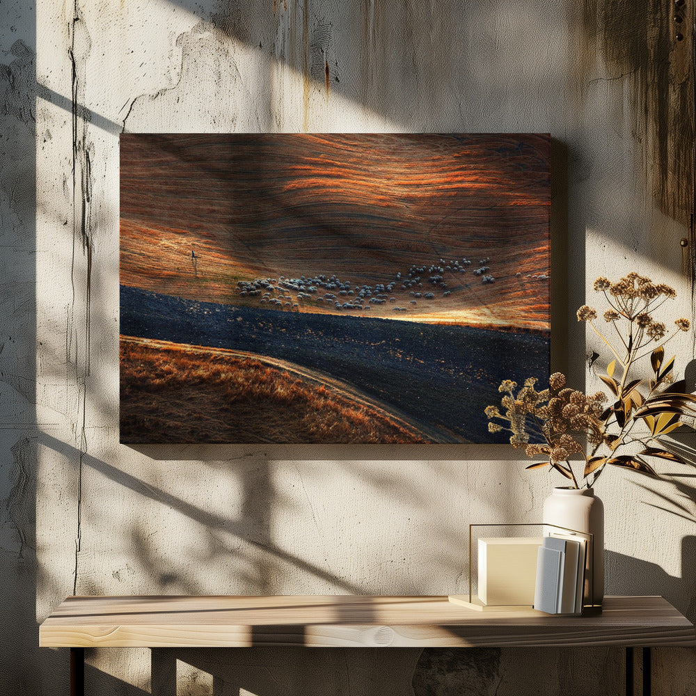 Il gregge 3 | Canvas