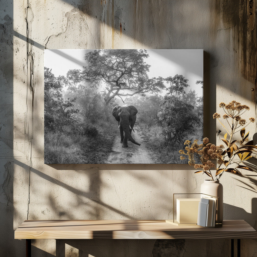 WANDELENDE REUS | Canvas