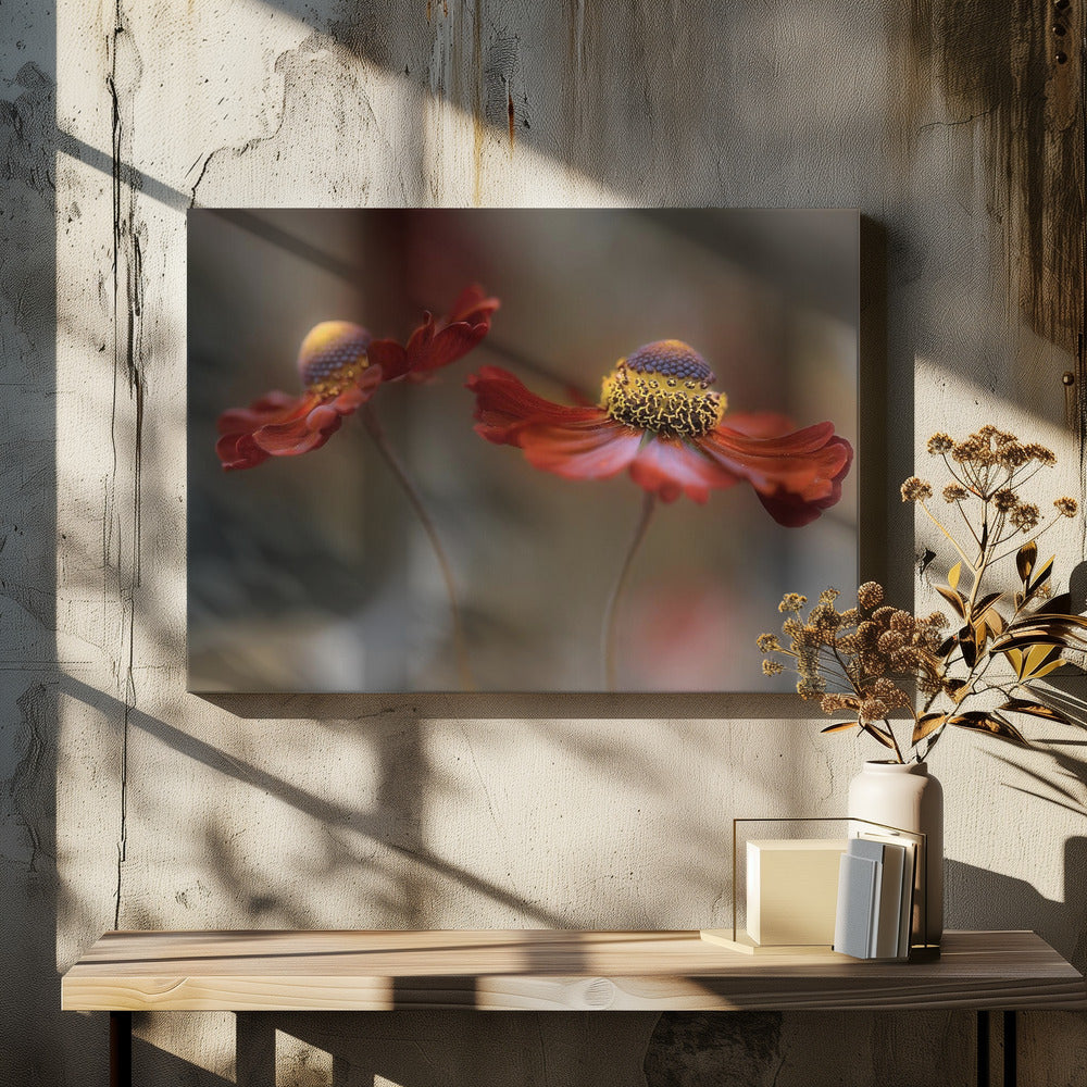 Helenium dans | Canvas
