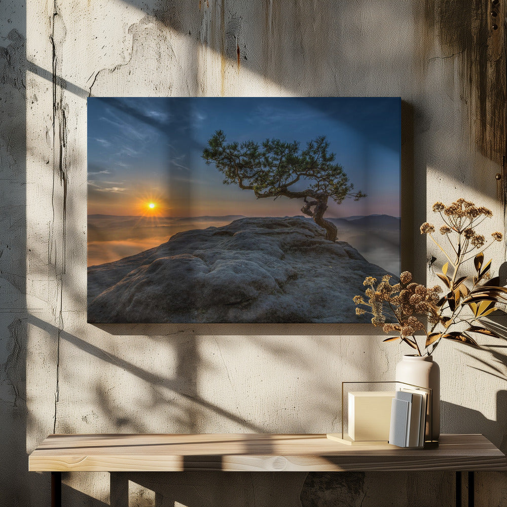 Oud grenen | Canvas