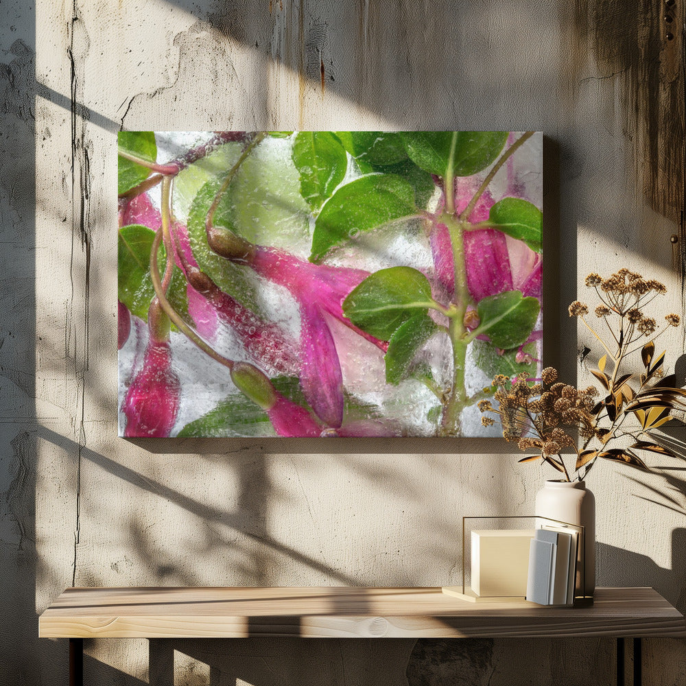 Fuchsia bevriezing | Canvas