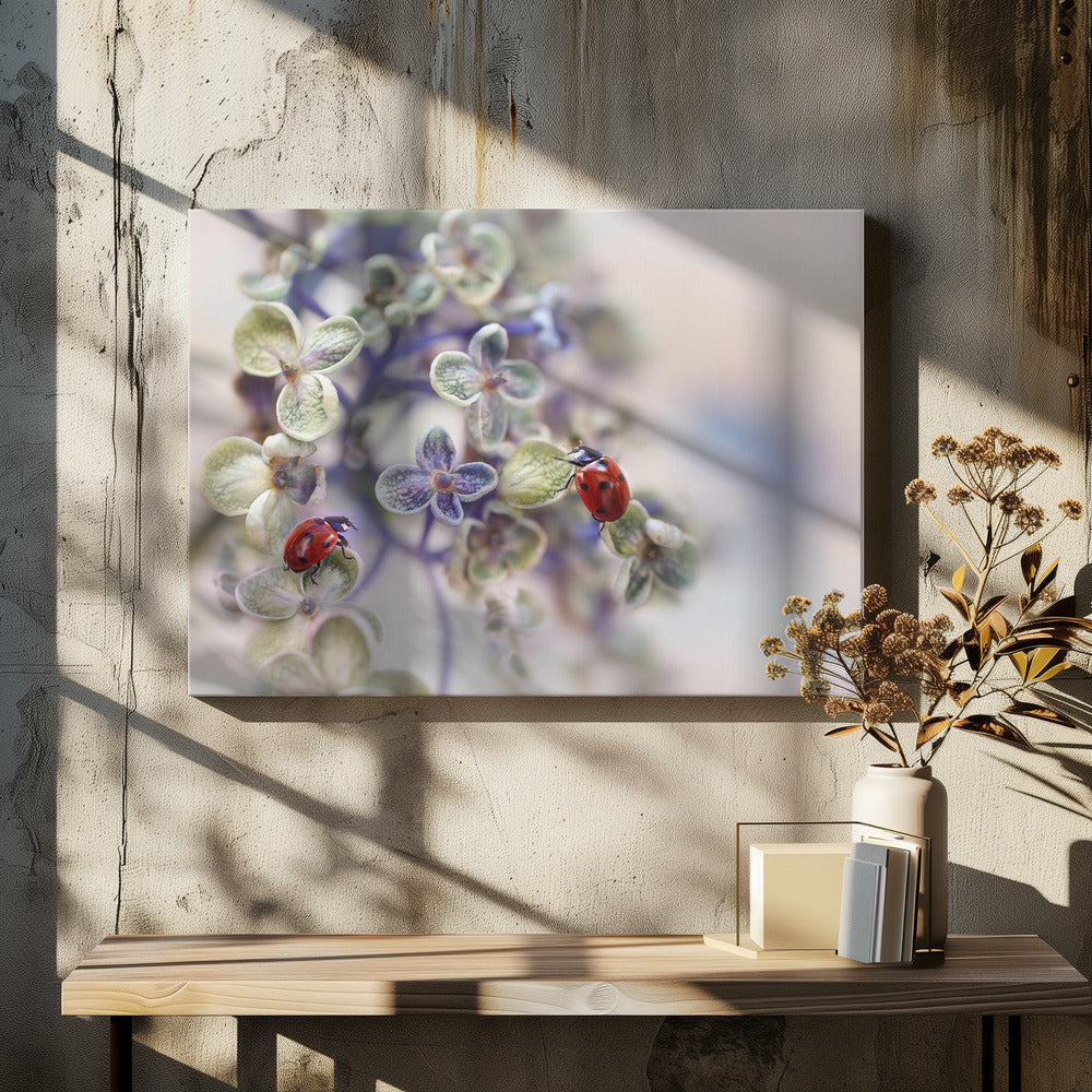 Kwetsbaar | Canvas