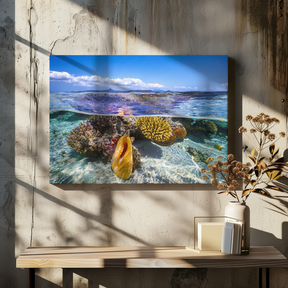 Laguneleven | Canvas