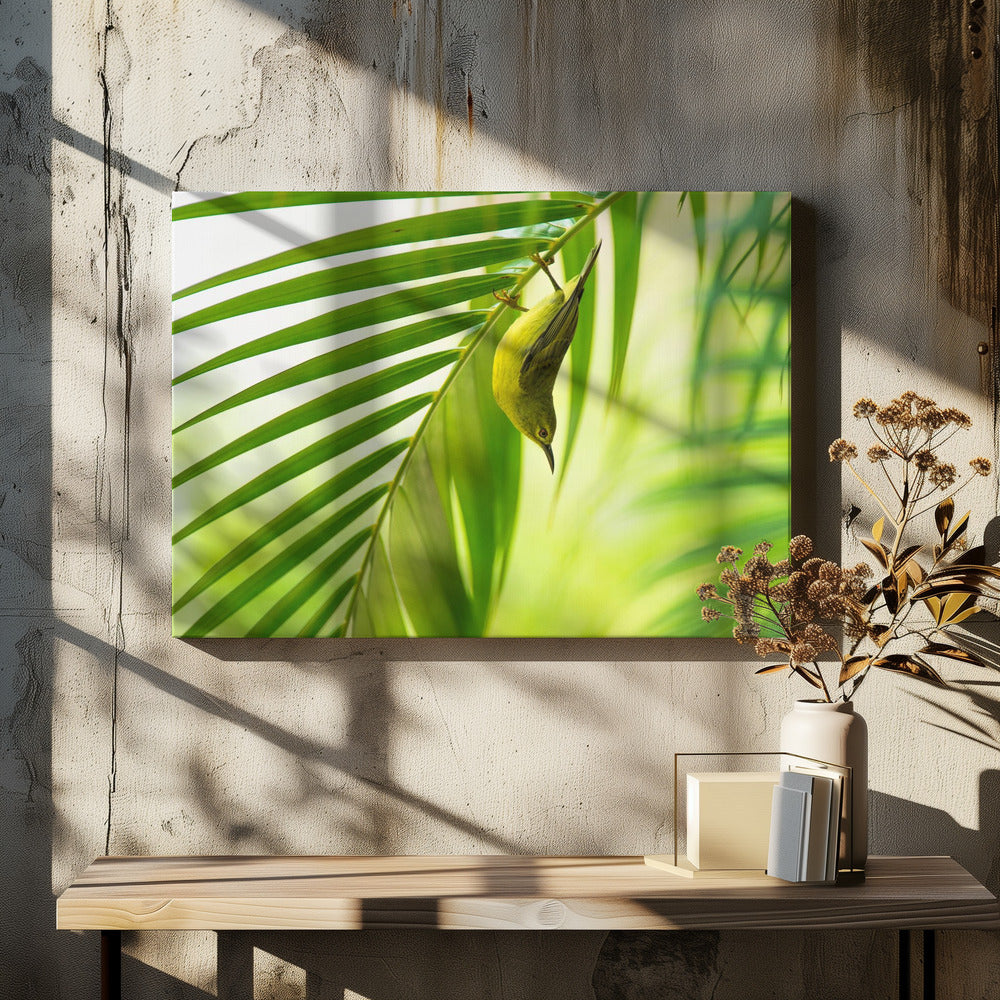50 tinten groen | Canvas