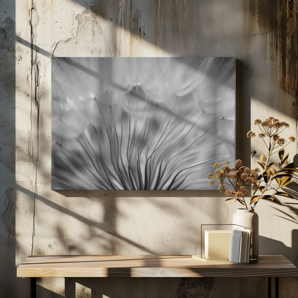 Droom | Canvas