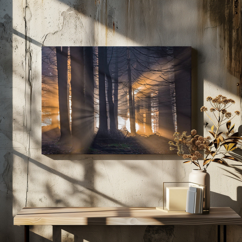 Bos | Canvas