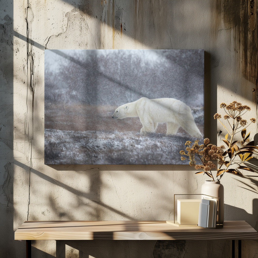 Laat het sneeuwen! | Canvas