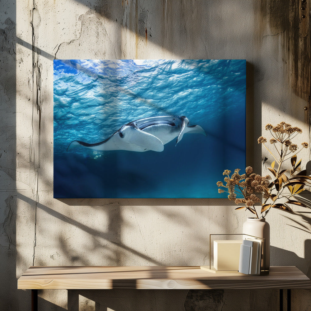 Mantarog | Canvas