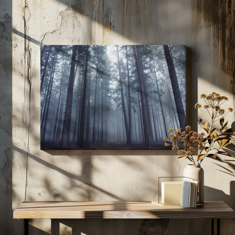Mysterieus mistig bos. | Canvas