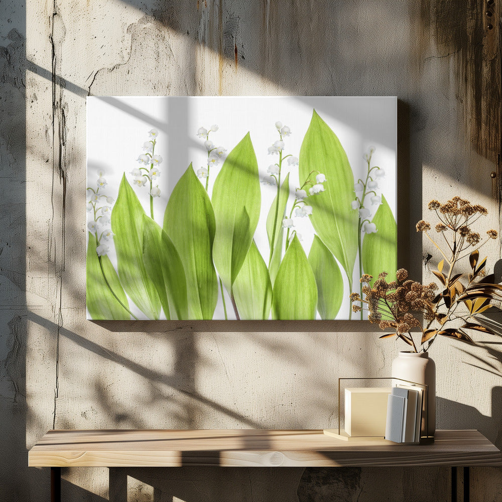 Lelietje-van-dalen | Canvas