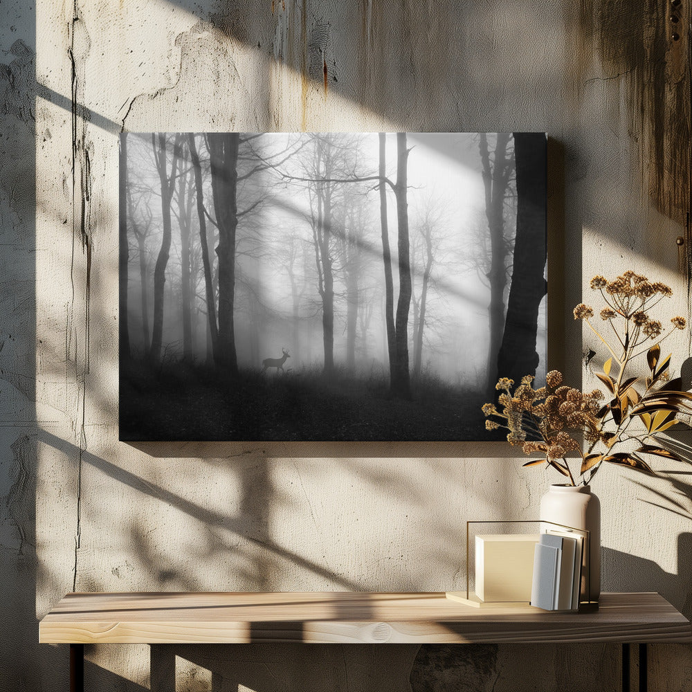 bos | Canvas