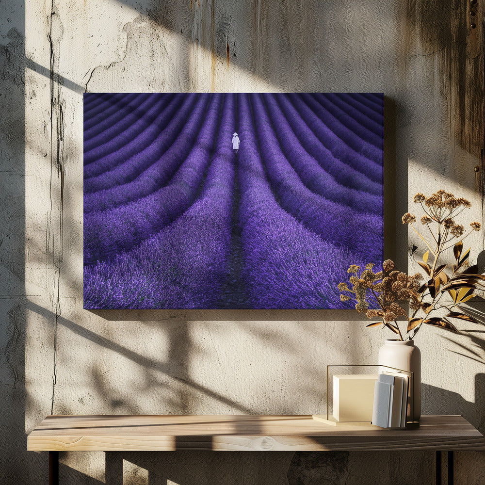 ZIJ | Canvas