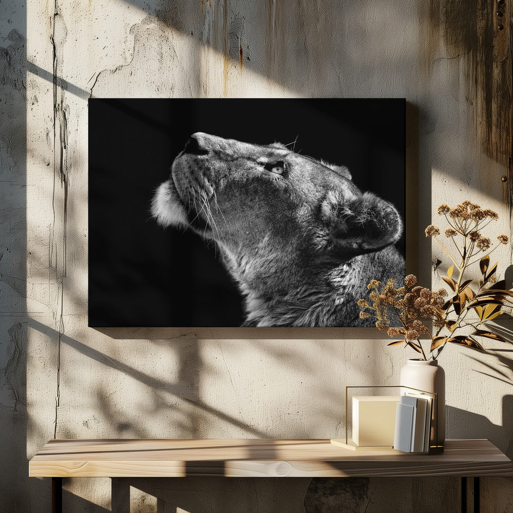 Omhoog kijken | Canvas