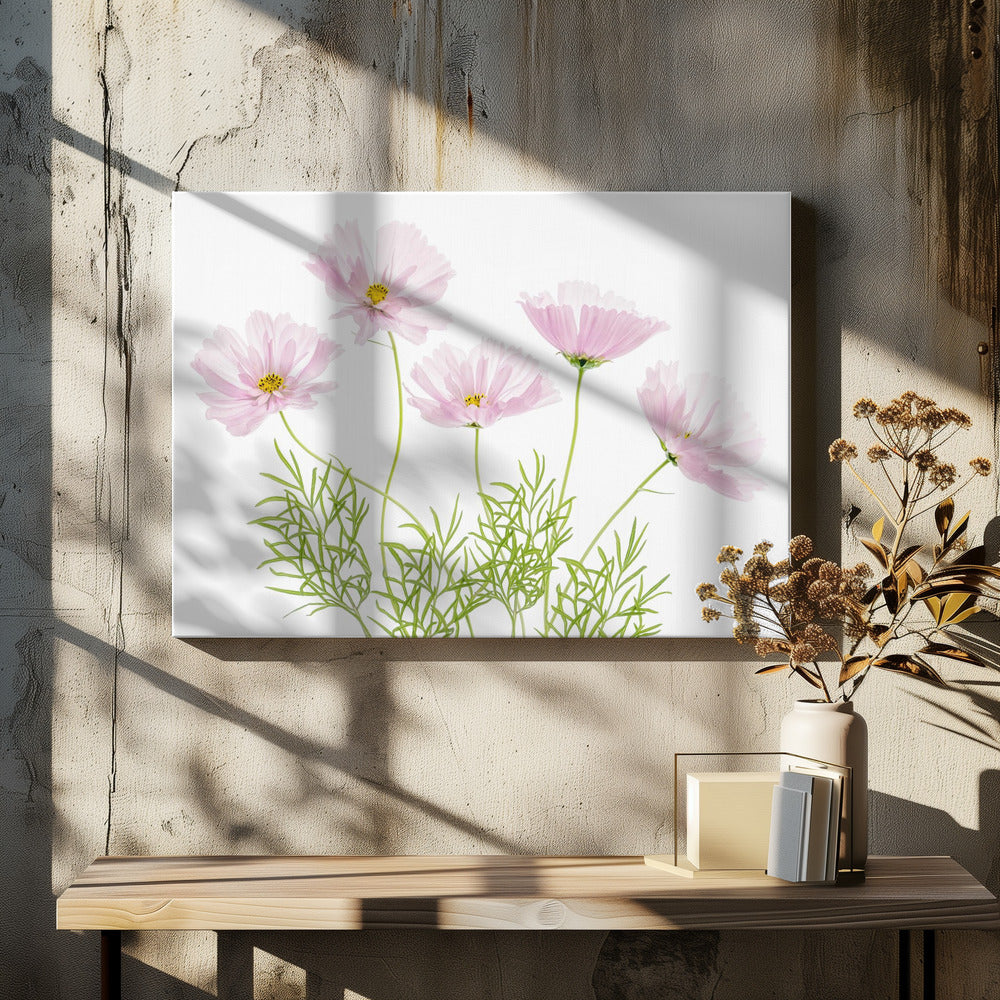 Cosmos Cupcake | Canvas