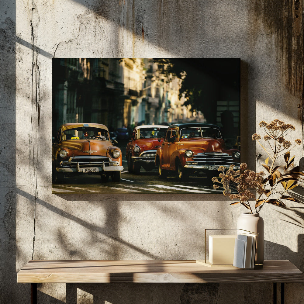 Kom met mij mee in het ochtendlicht | Canvas